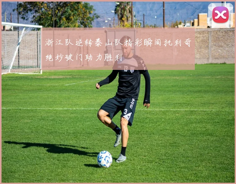浙江队逆转泰山队精彩瞬间托利奇绝妙破门助力胜利